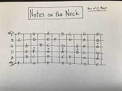 Notes on the Neck